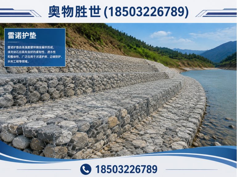 西安雷诺护垫展示图